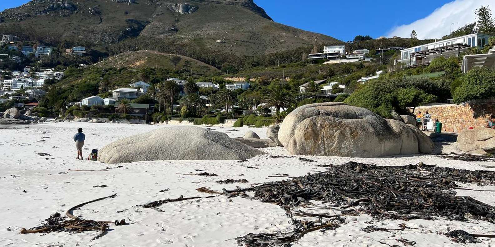 Full-Day Private Cape Town's Most Beautiful Beaches Tour - Crafting Your Perfect Day