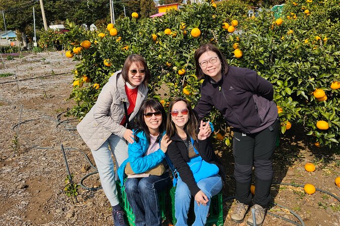 Full-Day Private Tour in Jeju Island - Tour Highlights