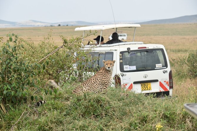 Full-Day Private Tour of Tsavo East National Park From Mombasa - About the Tour Operator
