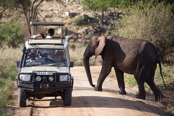 Full-Day Serengeti Tour From Mwanza - Booking and Cancellation Policy