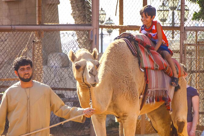 Full Day Small Group Abu Dhabi City Guided Tour - Photo Opportunities Galore