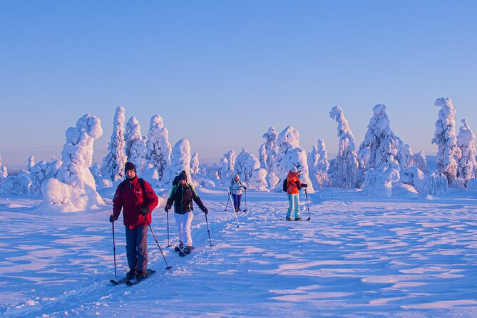 Full-Day Snowshoeing Adventure in Amethyst Mine Pyhä Luosto - Pricing, Availability, and Accessibility