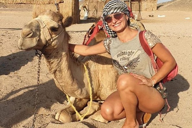 Full Day Super Safari Desert Excursion in Hurghada - Booking and Contact Info