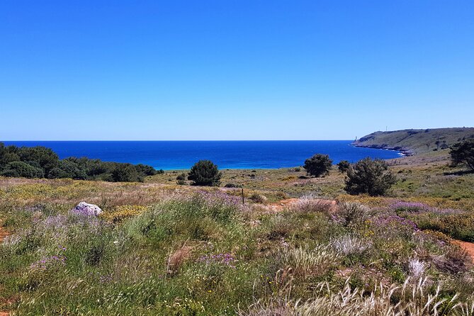 Full Day Tour of Otranto City and Its Amazing Seacoast From Lecce - Cancellation and Booking Flexibility
