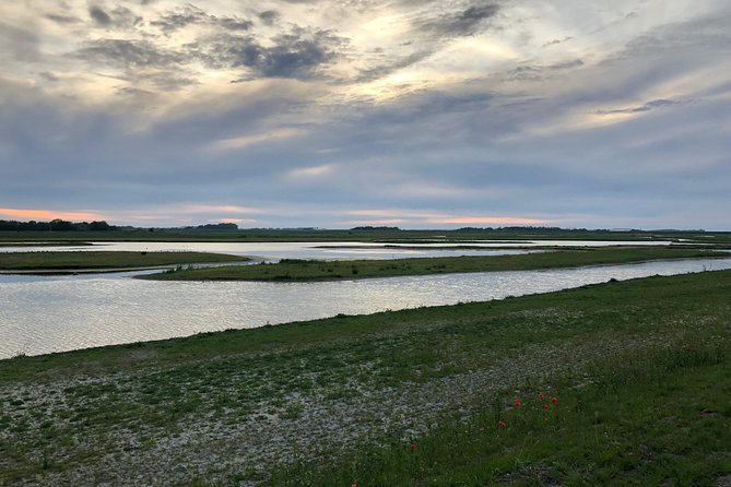 Full Day Tour to Texel - Friesian Islands - From Amsterdam - Enjoy Wildlife Encounters