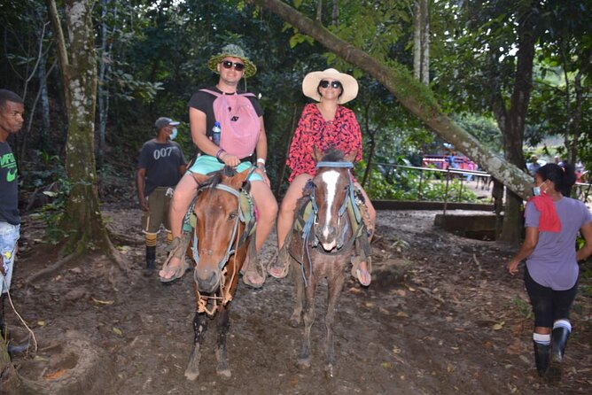 Full-Day Trip to Limon Waterfall and Bacardi Island - Limon Waterfall Visit