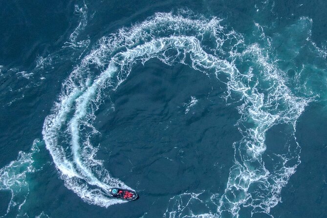 Full Day Whale Watching Campbell River - Tips for a Successful Trip