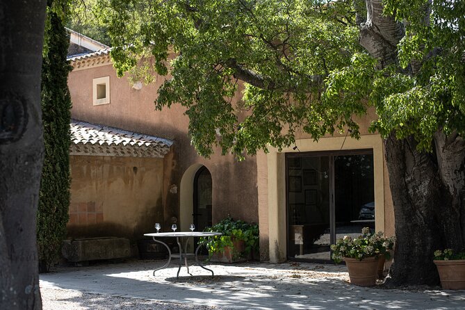 Full-Day Wine Tour Around Bandol & Cassis From Marseille - Highly-Rated Customer Reviews