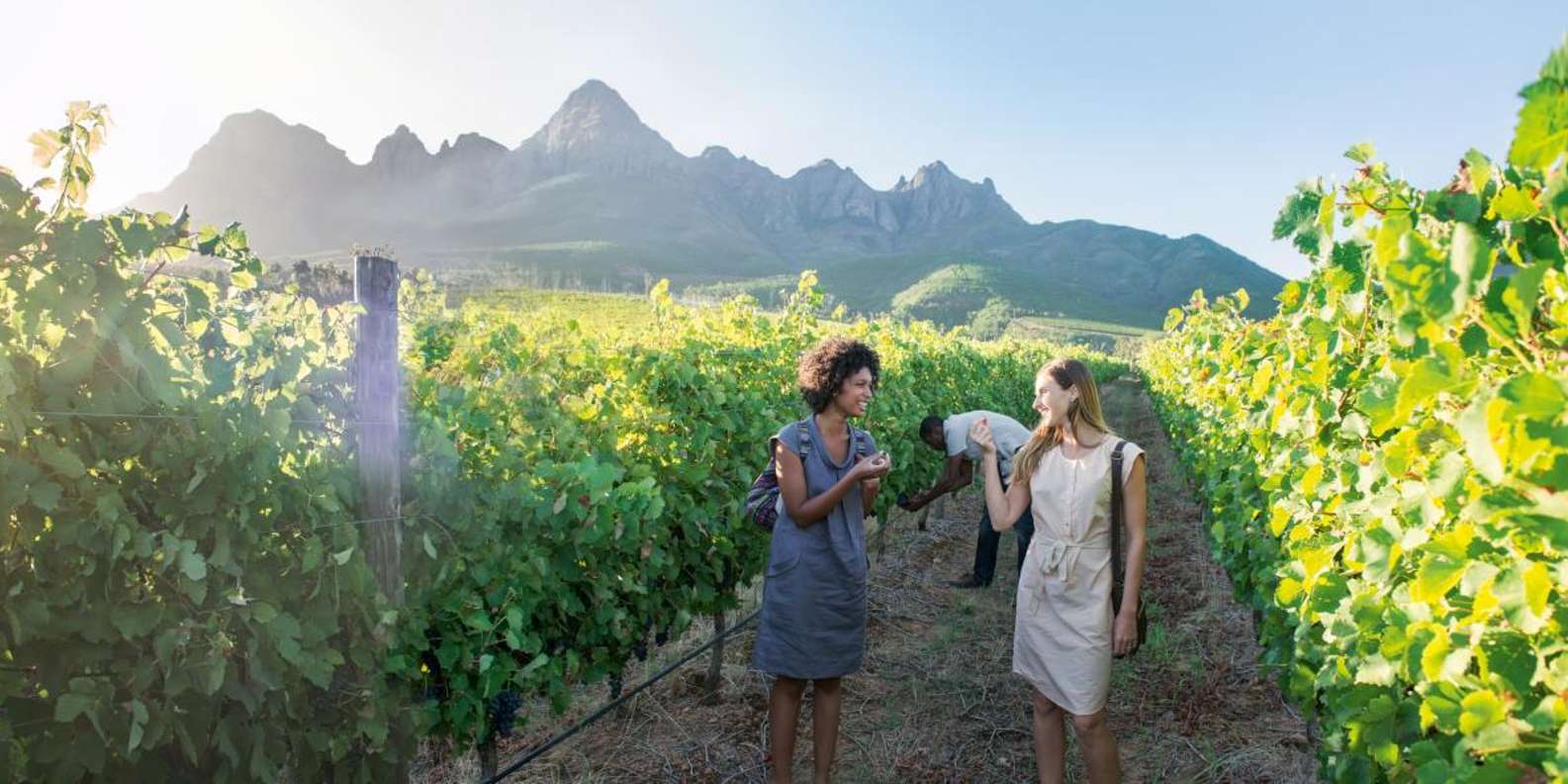 Full Day Winelands Tour - Booking and Cancellation Policy