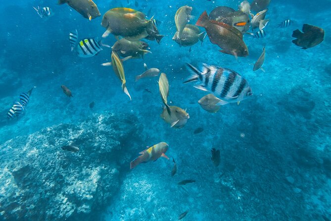 Gili Nanggu,Gili Kedis & Gili Sudak Hopping Island & Snorkeling Tour - Why Choose This Tour