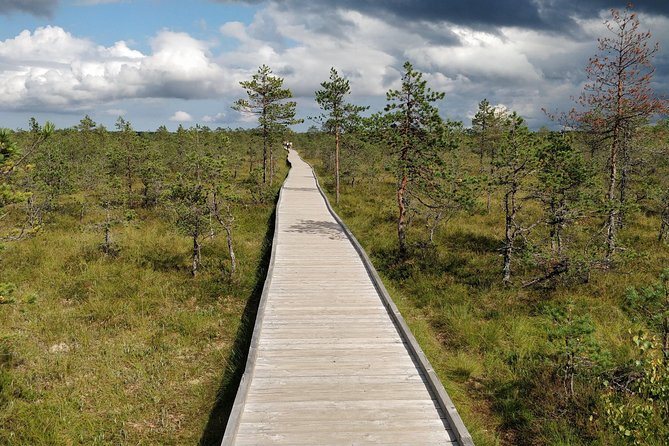 Go North – Private 1 Day Trip to Estonian Nature - Customer Feedback