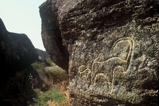 Gobustan National Park & Mud Volcanoes Tour - Booking Your Adventure