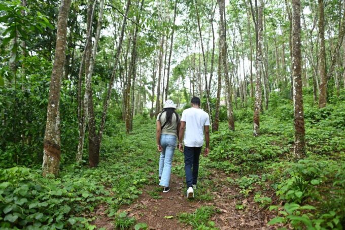 Godakawela Village Tour With Traditional 4 Causes Lunch - Tour Duration and Price