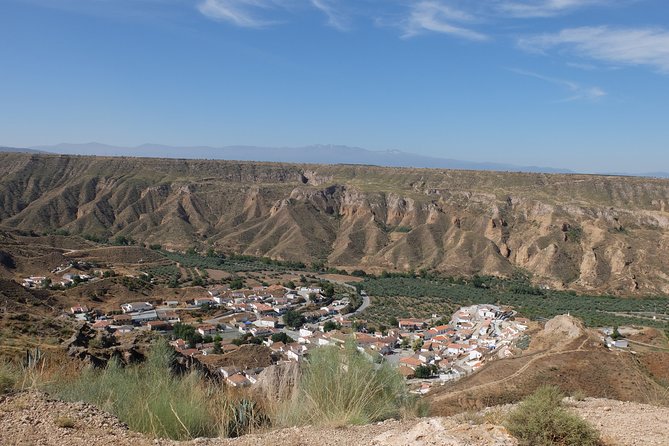 Granada Geopark: Desert, Prehistory and Local Gastronomy - Traveler Insights and Testimonials