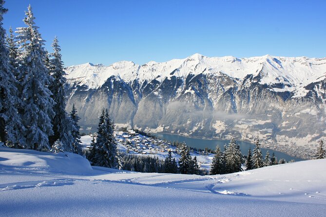 Grindelwald and Interlaken Independent Day Trip From Lucerne - Booking and Cancellation Policy