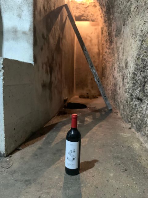 Guided Tour of Bodegas J.F. Iradier, Rioja Alavesa - Customer Ratings and Feedback