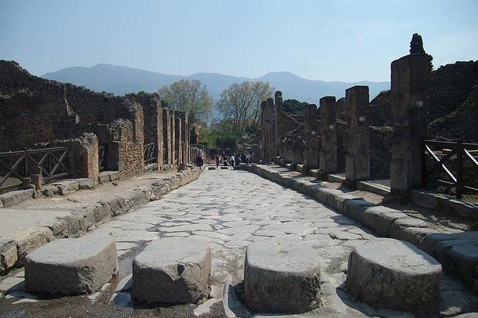 Guided Tour of Pompeii With Lunch and Entrance Ticket Included - Customer Reviews and Ratings