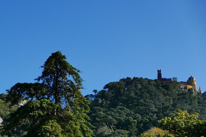 Half Day Adventures in the Sintra Mountain - Stunning Views and Cultivated Vegetation