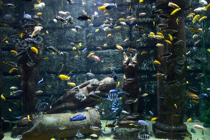 Half Day Antalya Aquarium Tour And Wax Museum - Meeting Point and Directions