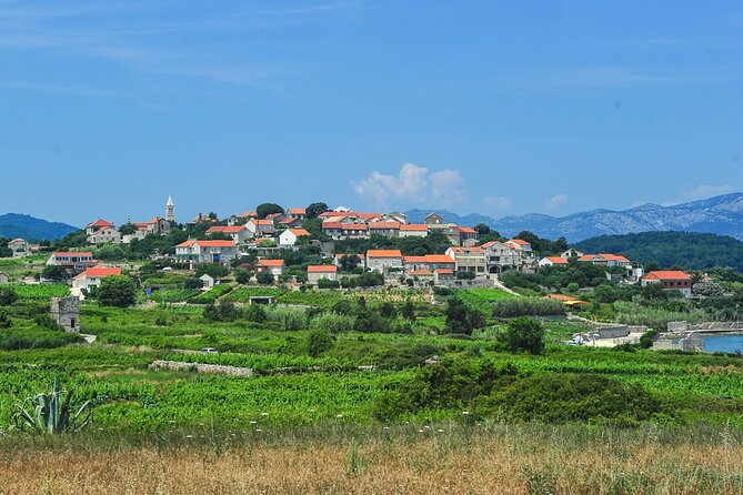 Half-Day Bike Tour in Lumbarda With Wine Tasting - Guest Feedback