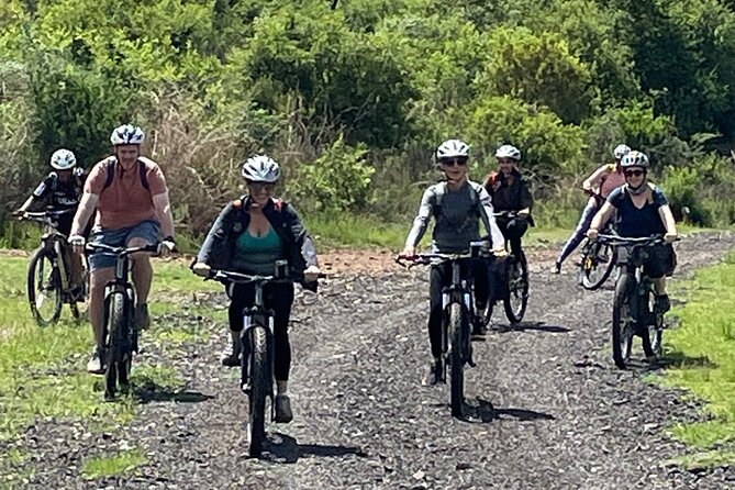 Half Day E-Biking With Wildlife Watching in Pretoria - Personal Experience and Reviews