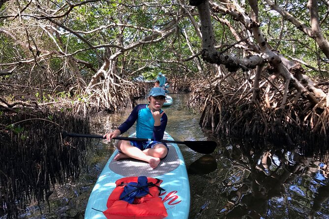 Half Day Excursion to Johns Pass Sandbar & Mangrove Tunnel - Sum Up