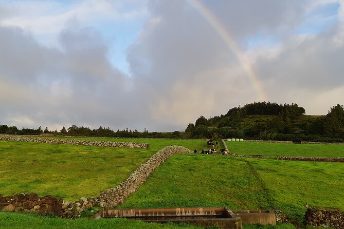 Half-Day Farm Visit and Cow Milking Experience - Experience Highlights