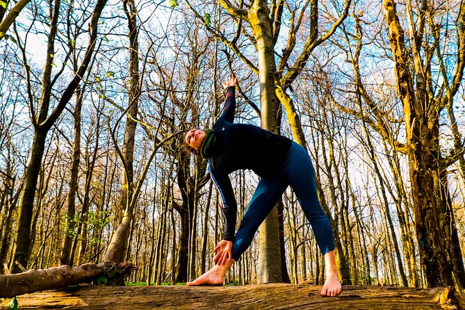 Half-day Forest Bathing and Yoga in Brightons Woodlands - Unique Experiences