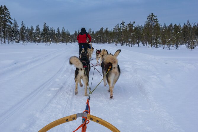 Half-Day Husky Safari and Salmon Ice Fishing Experience - Booking Information
