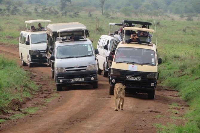 Half-Day Nairobi National Park Safari From Nairobi With Free Pickup - Pricing and Payment Options