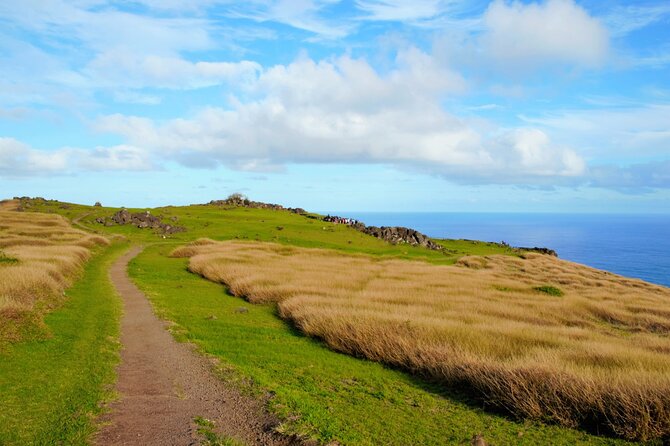Half Day Private Tour: Rano Kau and Orongo the City of Kings - Historical Significance of Tangata Manu