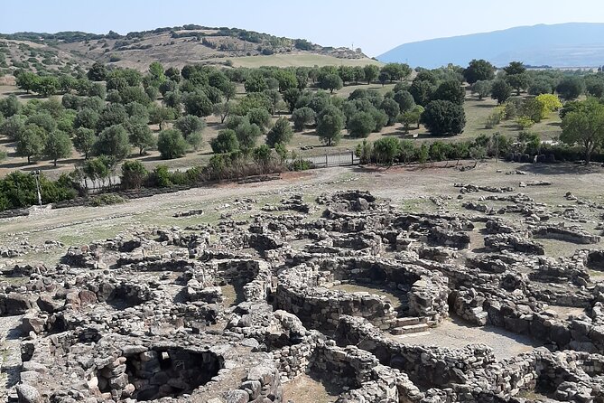Half-Day Private Trip From Cagliari to Barumini in Su Nuraxi - Traveler Experiences and Recommendations