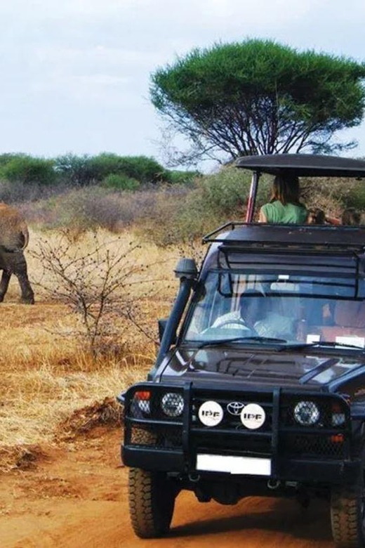 Half Day Safari Tala Game Reserve & Lion Park From Durban - Frequently Asked Questions