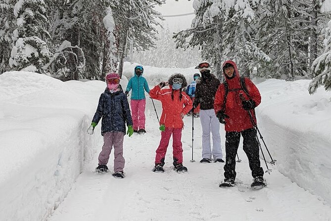 Half Day Snowshoe Hike in Tahoe National Forest - Sum Up