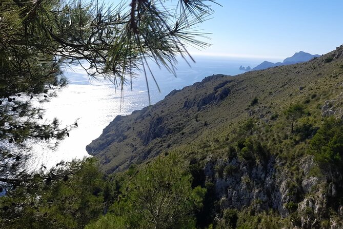 Half-Day Sorrento Private Tour by Vespa - Sfogliatella Treat