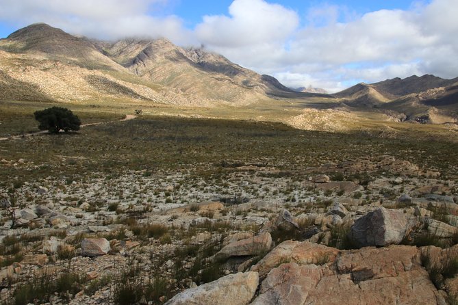 Half-Day Swartberg Pass PRIVATE Tour (Including Lunch & Transfer - Oudtshoorn) - Local Cuisine and Lunch Options