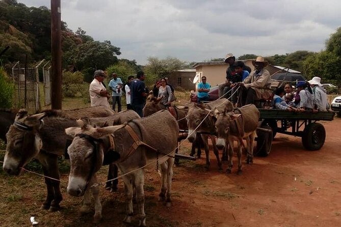 Half Day Tour From Gaborone (Manyana Village Visit) - Additional Information
