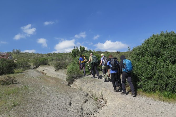 Half Day Trek To Volcan Misti - Traveler Highlights