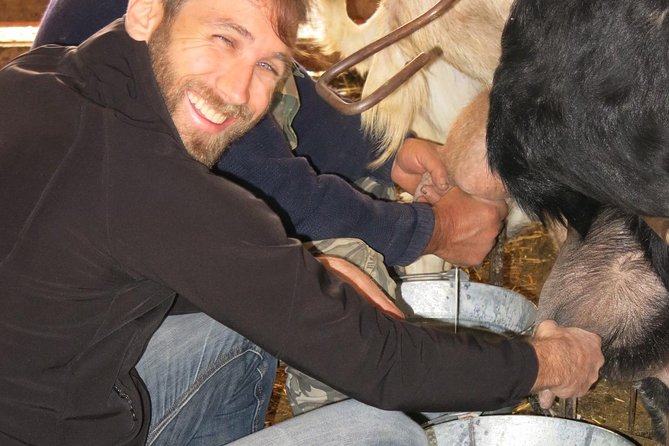 Halloumi Heaven: Cheese-Making Class & Troodos Mountain Villages 8h - Tasting Local Delicacies
