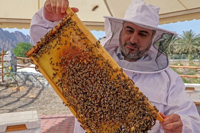 Hatta Tour With Hatta Dam, Heritage Village, Honeybee Garden - Tips for an Enjoyable Visit