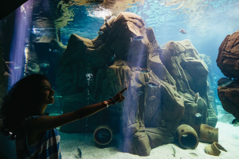 Heraklion Area: CRETAquarium Admission Ticket - Accessibility and Flexibility