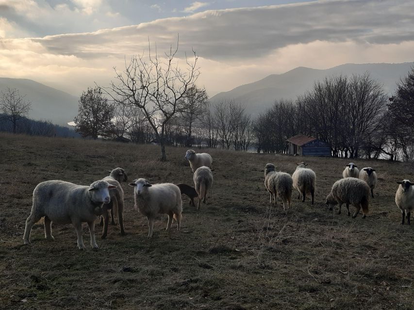 Hike to Visegrád Castle+Sauna - Budapest Best Spring-Combo - What to Bring