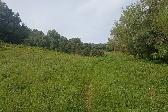Hiking and Wine Tasting Experience - The Sum Up
