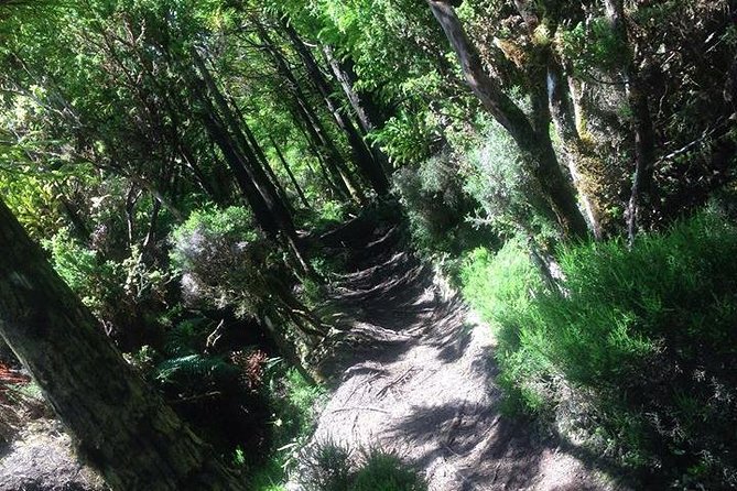 Hiking Trail Rocha Do Chambre | Terceira Island - What to Bring and Prepare