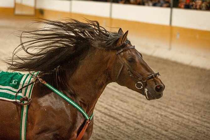Horse and Flamenco Show in Malaga With Dinner - Cancellation Policy