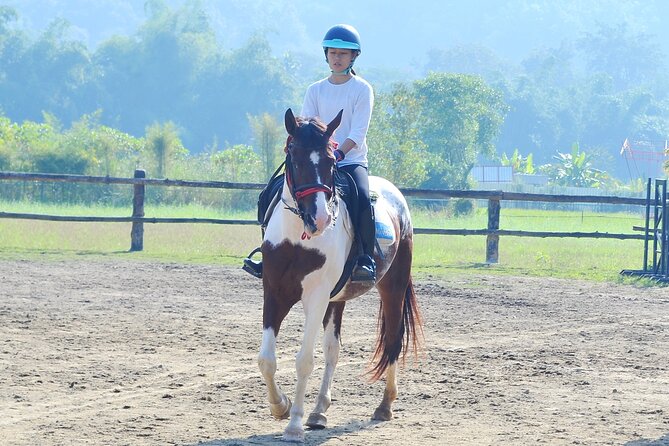 Horse Lesson+Riding+Wat Tonkwen Wooden Temple.Chiangmai - Inclusions of the Tour