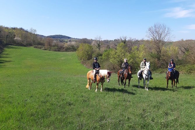 Horse Ride, Olive Oil and Local Foods Tasting in a Tuscan Farm - Important Information for Prospective Participants