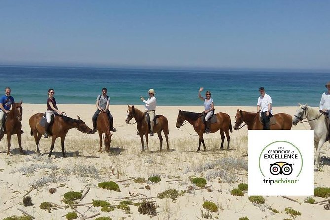 Horse Riding Tour on the Beach Lisbon Region - Reviews and Customer Experiences