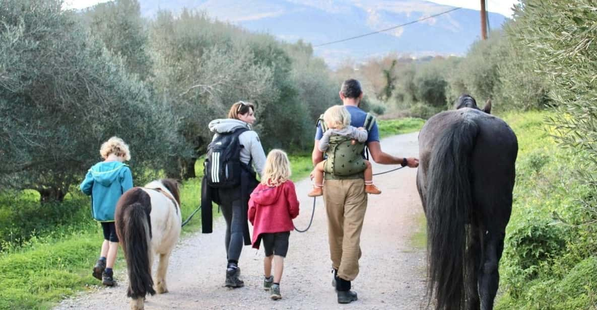 Horse Walking and Olive Oil Tasting - Cretan Culture and Flavors