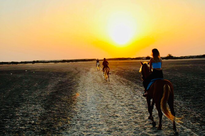 Horseback Riding at Sunrise 3h - Booking Information
